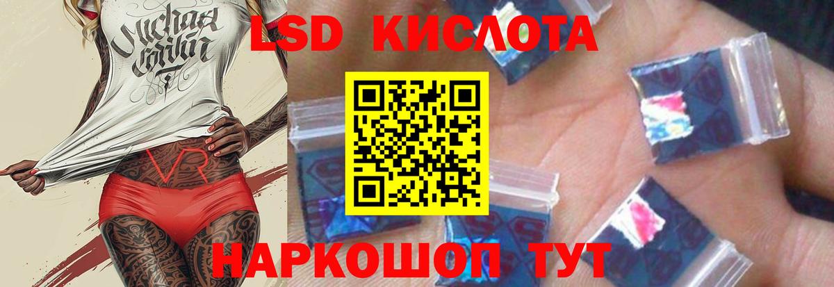 omg сайт  ЛСД экстази кислота  ЛСД экстази кислота  Вход с VPN  Новый Уренгой 