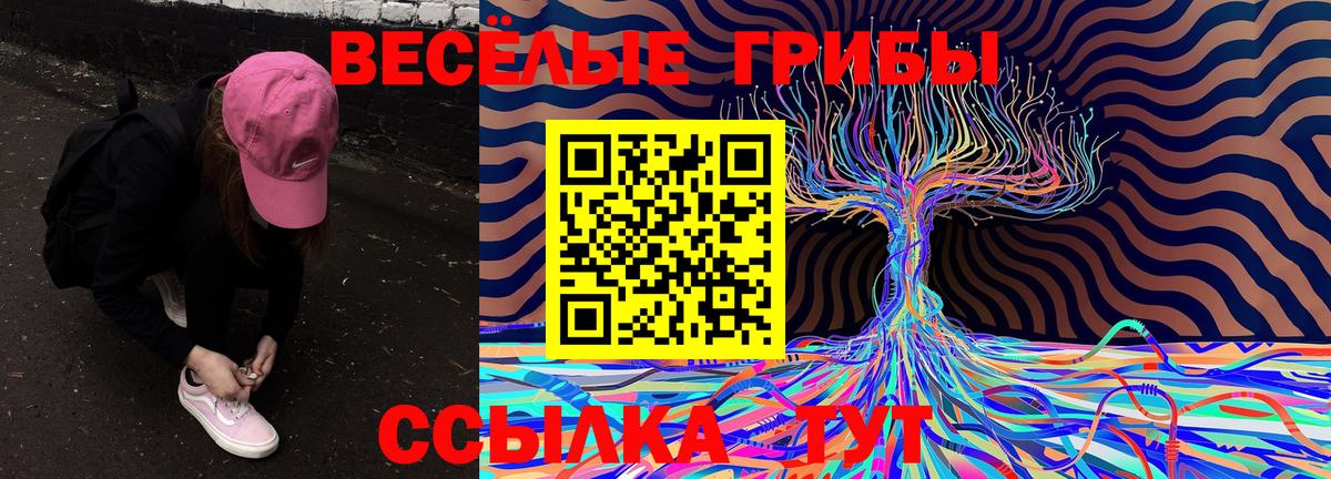 Галлюциногенные грибы прущие грибы  Галлюциногенные грибы GOLDEN TEACHER  Вход с VPN  Новый Уренгой 