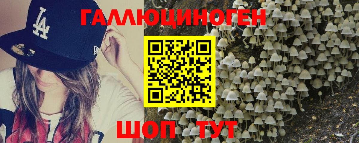 Псилоцибиновые грибы GOLDEN TEACHER Новый Уренгой